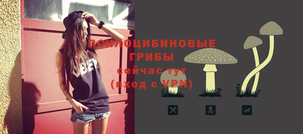 индика Арсеньев