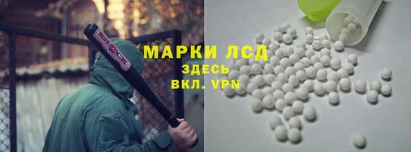индика Арсеньев