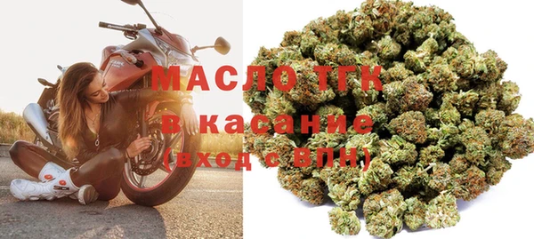 индика Арсеньев