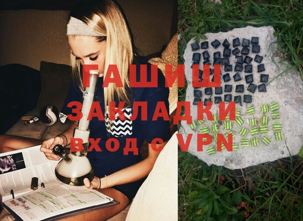 индика Арсеньев