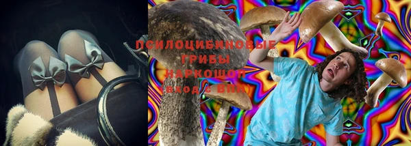 соль ск Аркадак