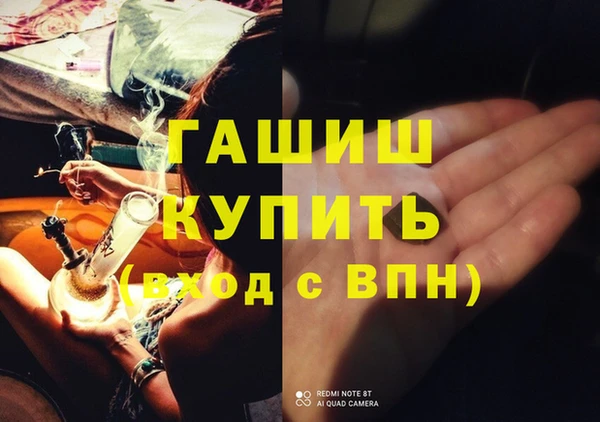 индика Арсеньев