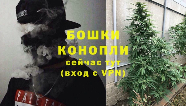 индика Арсеньев