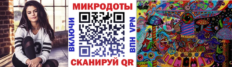 где купить наркотик Павловский Посад omg Псилоцибиновые грибы MAGIC MUSHROOMS